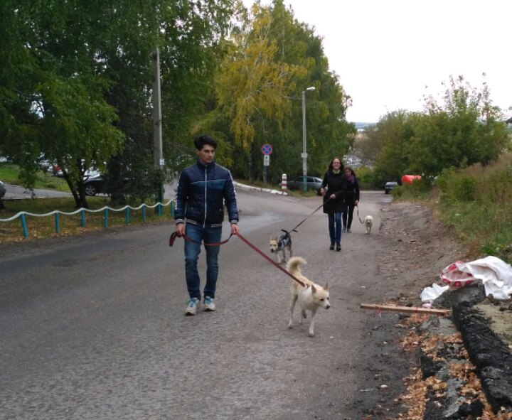 На ФВТ прошла акция «Рука помощи бездомным животным»!