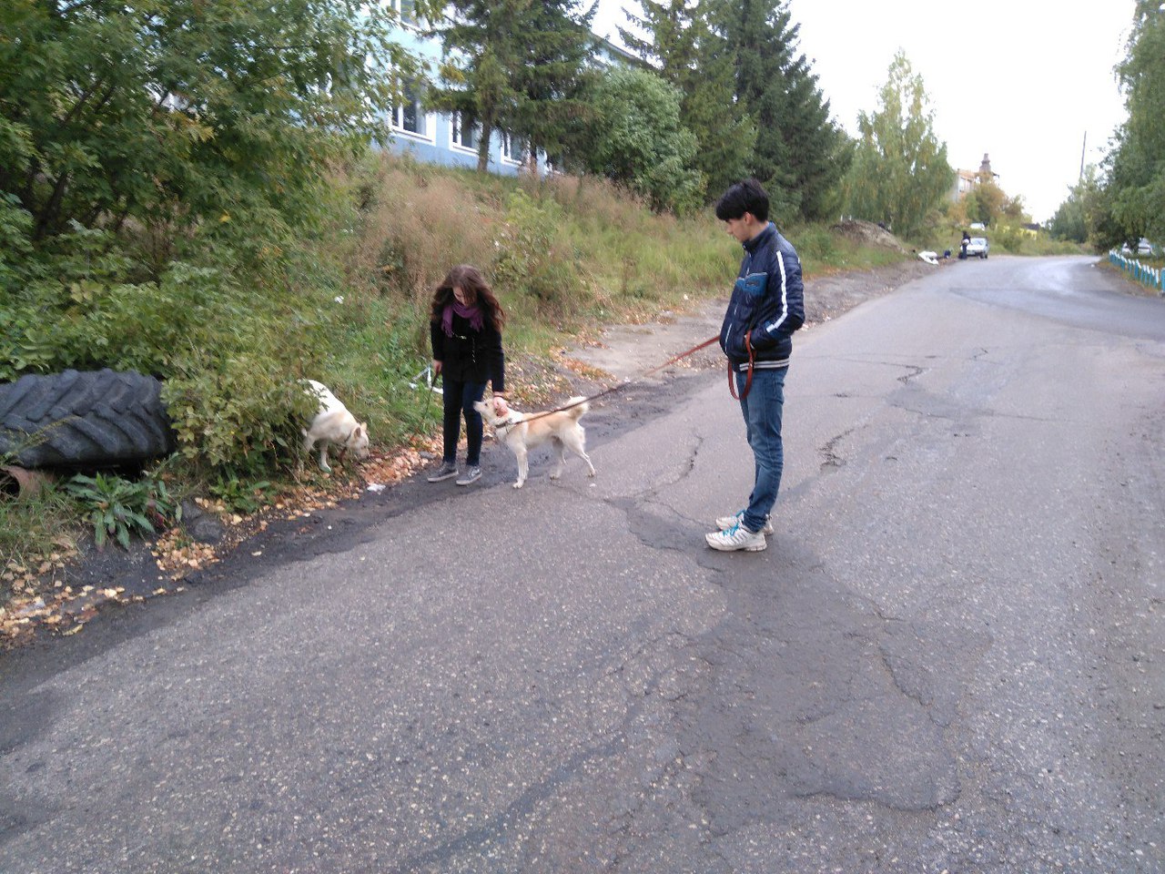 На ФВТ прошла акция «Рука помощи бездомным животным»!